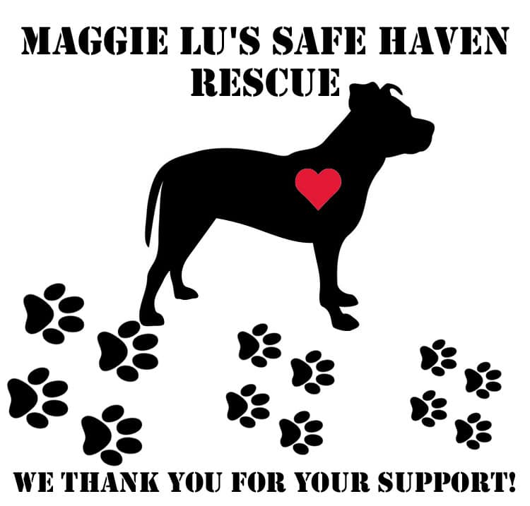 maggie lus rescue foster indian trail