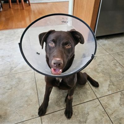coco - happy endings