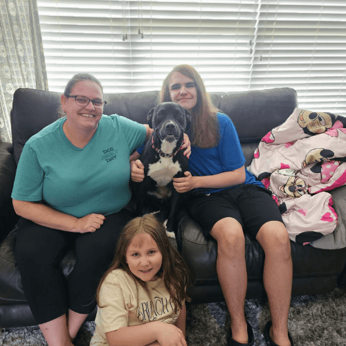 Lacie's Happy Ending Maggie Lu's Safe Heaven 