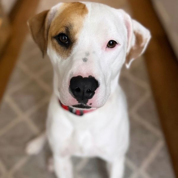 smores profile pic