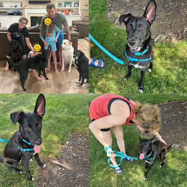 lucy adopted